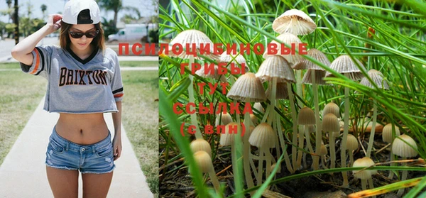 крисы Балахна