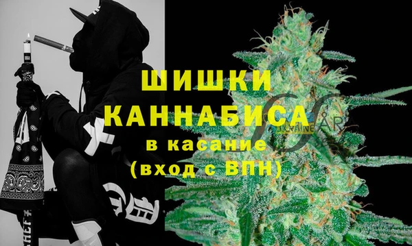 крисы Балахна