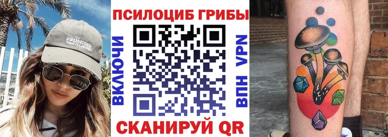 Псилоцибиновые грибы Cubensis  Горно-Алтайск 